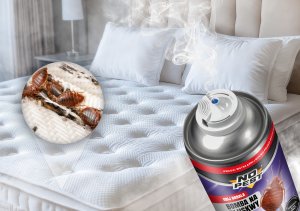 NO PEST Bomba Fogger Środek Oprysk Preparat na Pluskwy Domowe Karaluchy Pająki Rybiki Pchły Zamgławiacz Owadobójczy 400ml (2 szt) 13