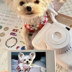 Aparat cyfrowy POPOTO ZIELONY APARAT NATYCHMIASTOWY Z WKŁADAMI INSTAX MINI 10 szt 12