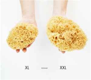 LullaLove Lullalove Honeycomb gąbka morska do twarzy i ciała - super size XXL 13,5-16,5cm 3