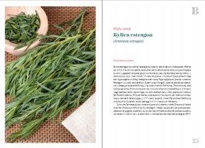 Zdrowie z przypraw 4