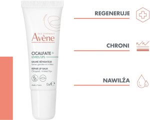 Avene  Avene Cicalfate+ Hydrates Lip Balm Treatment 10 ml For Women 4