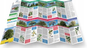 Sycylia light: przewodnik + mapa 3