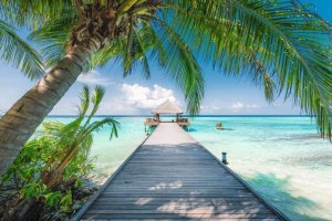 Ravensburger Puzzle 4000 Dream Beach in the Maldives 2
