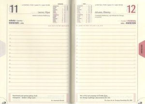 Kalendarz 2026 A5 dzienny Lux złocony brązowy 2