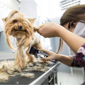 MASZYNKA DO STRZYŻENIA PSA ZWIERZĄT ZESTAW E333 9