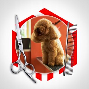 MASZYNKA DO STRZYŻENIA PSÓW PROFESJONALNA BEZPIECZNY TRYMER DLA PSA CICHY 8