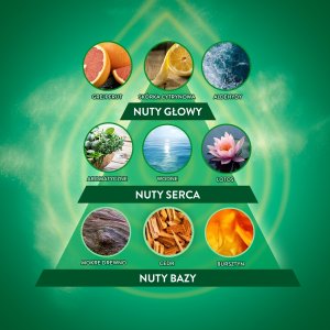AIR WICK Essential Oils Wkład do elektrycznego odświeżacza powietrza Powietrza Bryza Oceanu i Sól Morska 19 ml 6
