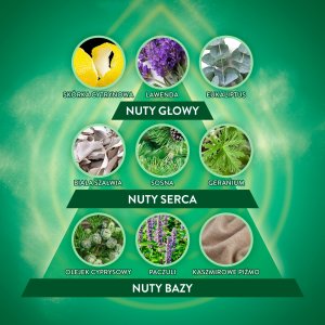 AIR WICK Essential Oils Wkład do elektrycznego odświeżacza powietrza Niebieski Eukaliptus i Drzewo Cedrowe 19 ml 8
