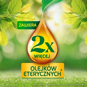 AIR WICK Essential Oils Wkład do elektrycznego odświeżacza powietrza Niebieski Eukaliptus i Drzewo Cedrowe 19 ml 9