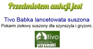 Tivo TIVO ZIOŁA BABKA LANCETOWATA XXL 600g /12 3