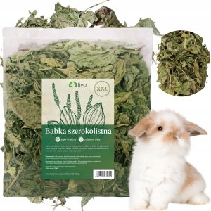 Tivo TIVO ZIOŁA  BABKA SZEROKOLISTNA XXL        400g    / 16 4