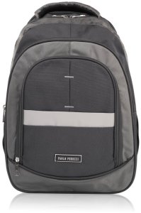 Paolo Peruzzi Plecak męski do pracy do szkoły szary na laptopa T-120-GRE 10