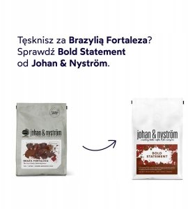 Johan & Nyström - kawa ziarnista Bold Statement Filter 250 g 2