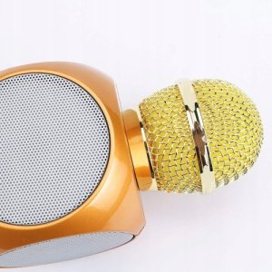 WS-1816 16W karaoke BT microphone with LED 360 Gold 2