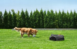 Robot koszący Mova Robot koszący MOVA ViAX 300 11