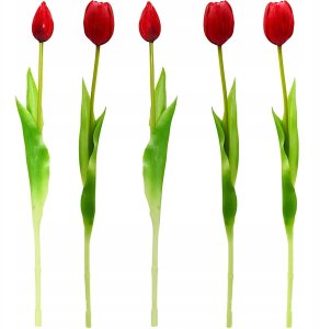 Saska Garden BUKIET 5 TULIPANÓW CZERWONYCH 39CM JAK ŻYWYCH DEKORACJA WIOSENNA 4