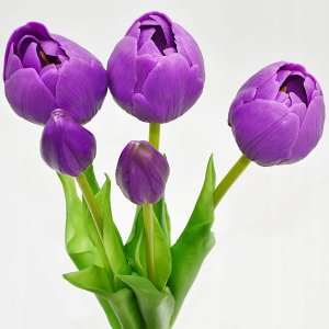 Saska Garden BUKIET 5 TULIPANÓW PIWONIOWYCH FIOLETOWYCH 39CM JAK ŻYWYCH DEKORACJA WIOSENNA 3