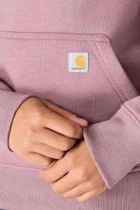 Visent Bluza Carhartt Iconic Clarksburg Logo ASH BERRY HE 62