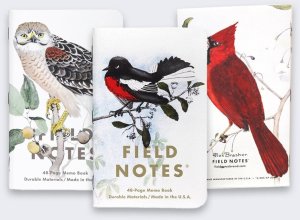 Field Notes Notes Field Notes Birds and Trees of North Americ 40