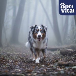 Reno OptiVital puszka -soczyste kawałki dla dorosłych psów z wołowiną oraz dziczyzną w sosie 1250g 5
