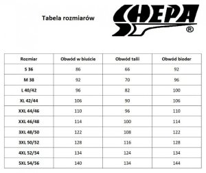 Shepa KOSTIUM KĄPIELOWY JEDNOCZĘŚCIOWY STRÓJ SHEPA 036 2