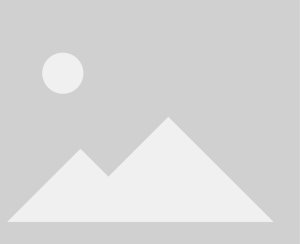 Hammer-Group.co Sp. z o.o. Hammer Glass szkło hybrydowe Flex do Motorola Moto G24 / G04 / Power 3