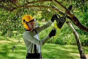 Piła łańcuchowa Ryobi Ryobi ONE+ cordless chainsaw RCS1830-140B, 18V (green/black, Li-ion battery 4.0Ah) 7