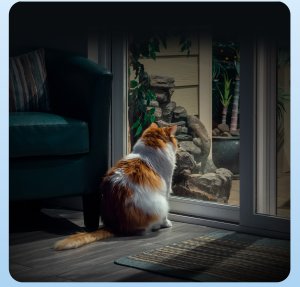 Kamera IP Ezviz EZVIZ H6c G1 3K Kulisty Kamera bezpieczeństwa IP Wewnętrzna 2880 x 1620 px Sufit/ściana/biurko 37