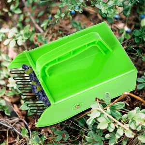 Monkey Business Zbieraczka do jagód 22x14x13,5 cm 3