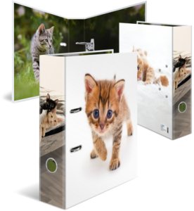 Herma Segregator Kot 7cm 4