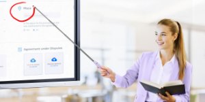 Pilot z wskaźnikiem laserowym do prezentacji multimedialnych Norwegii N21 BLE 80