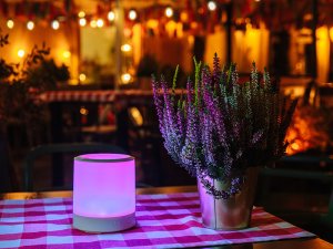 Tracer Lampa kempingowa z panelem solarnym 2 w 1 Tracer Ulight 151