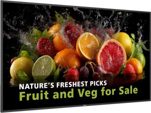 Monitor Philips D-Line 65BDL5050D/00 2