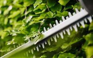 Gardena Gardena 14735-55 urządzenie elektryczne do strzyżenia żywopłotów Podwójne ostrze 124 W 2,2 kg 5