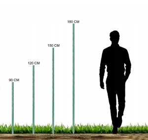 GardenPlus GardenPlus Tyczki do roślin powlekane zielone metalowe 10 szt. 11/90 cm 8