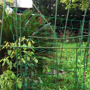 GardenPlus Podpora z siatką na pomidory - Stelaż ogrodowy na pnącza 16mm 1,5x2,6m 10