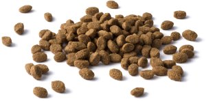 Purina PURINA Cat Chow Sterilised Karma bogata w indyka 1,5kg 11