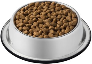 Purina PURINA Cat Chow Sterilised Karma bogata w indyka 1,5kg 10