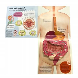 Morex Książka 3D Moje ciało 16441 3