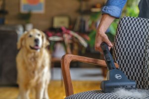 Odkurzacz Hoover Odkurzacz tradycyjny Hoover H-Energy 500 HE522PET 011 700W 11