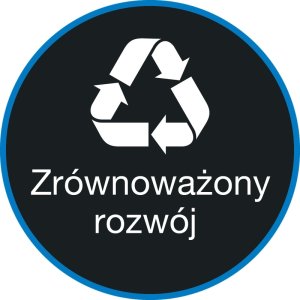 Żelazko Braun Żelazko parowe Braun TexStyle 5 SI5277GR FreeGlide 3D 220g/min 2700W 10