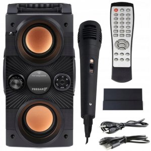 Głośnik Feegar Głośnik przenośny Feegar DANCE czarny 30 W 12