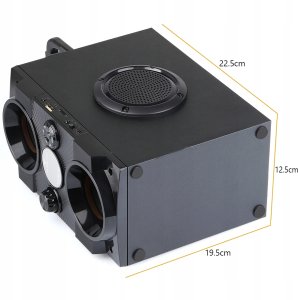 Głośnik Feegar Głośnik przenośny Feegar DANCE czarny 30 W 13