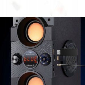 Głośnik Feegar Głośnik przenośny Feegar DANCE czarny 30 W 15