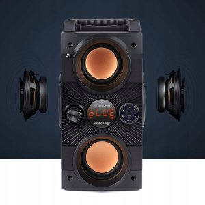 Głośnik Feegar Głośnik przenośny Feegar DANCE czarny 30 W 5