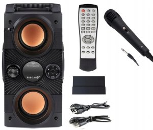 Głośnik Feegar Głośnik przenośny Feegar DANCE czarny 30 W 9