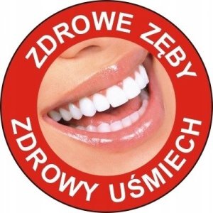 Irygator PODRÓŻNY IRYGATOR DO ZĘBÓW DENTYSTYCZNY + KOŃCÓWKI 13