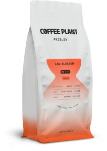 Kawa ziarnista Coffee Plant Kawa ziarnista COFFEE PLANT LOW Blossom 800g 2
