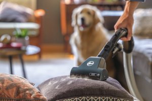 Odkurzacz Hoover Odkurzacz tradycyjny Hoover HE722PET 011 850W Mini turboszczotka 11