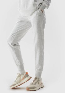 4f Spodnie 4F 4FWSS24TTROF606 XXL szare 27M 9